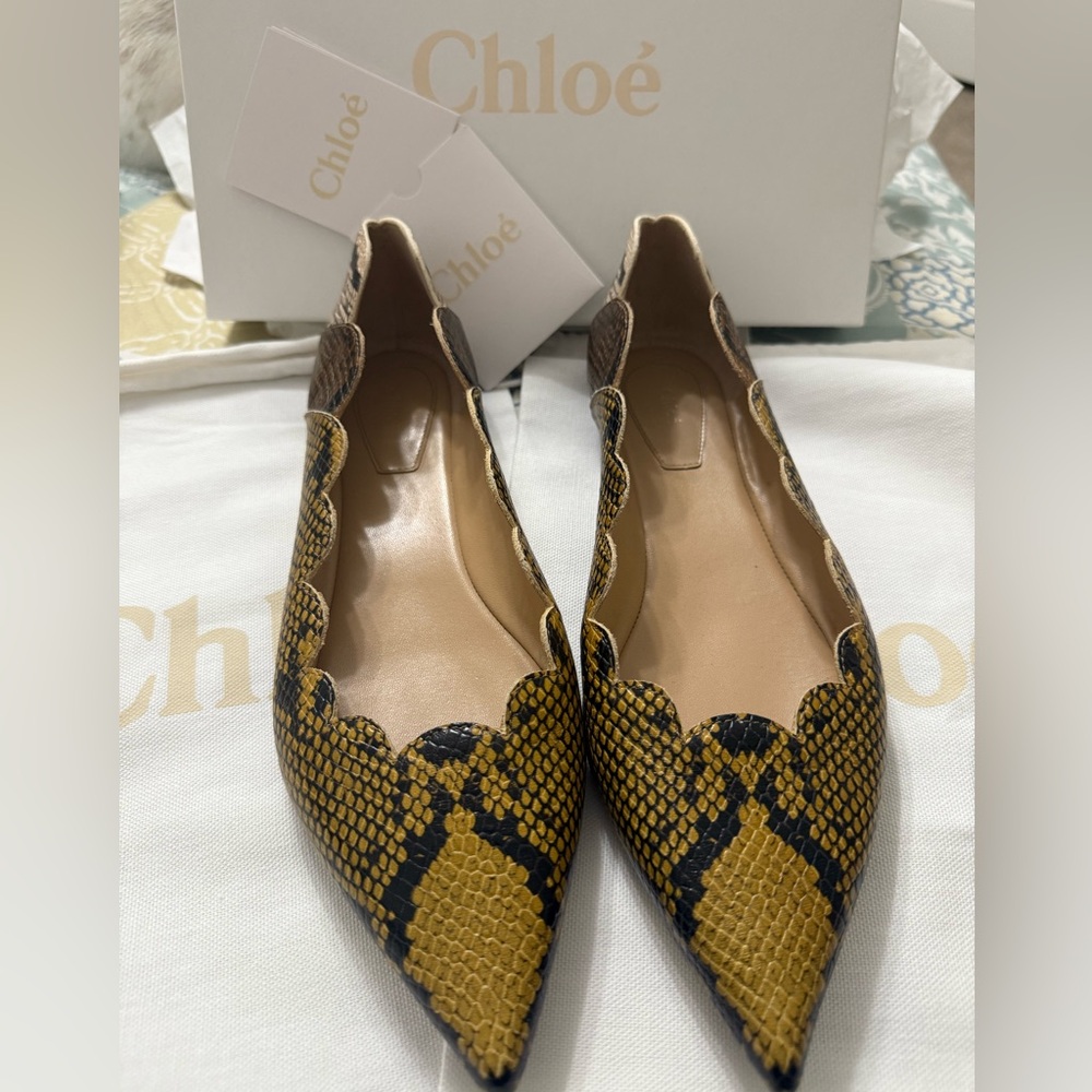 Chloe Leather Ballet Flats Python Scalloped Multicolored Size 9.5 New in Box - Picture 3 of 8